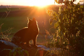 Ferienwohnung Sonnenaufgang